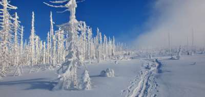 Winterlicher Kammweg Dreisesselberg - Plöckenstein