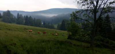 Penzion Jelení Vrchy